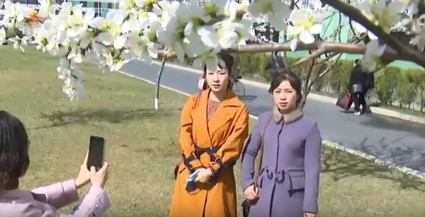 매화 아래서 기념사진을 찍는 평양 시민들. 사진=조선중앙TV