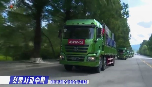 대동강과수종합농장에서 생산된 올해 첫물사과를 실은 수송대가 도로를 달리고 있다. 사진=조선중앙TV