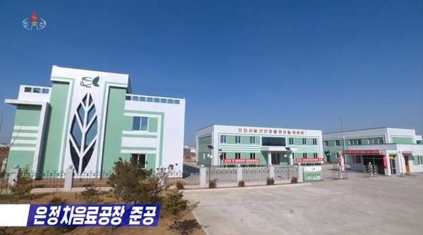 "수령의 은덕이 담겼다"는 은정차 생산공장. 사진=조선중앙TV