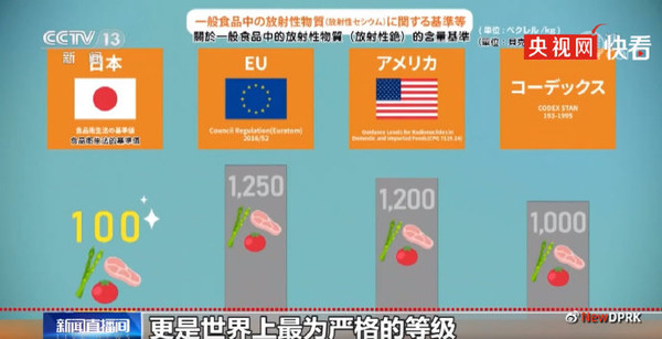 다양한 언어로 제작된 원전 홍보 애니메이션. 사진=NEW DPRK