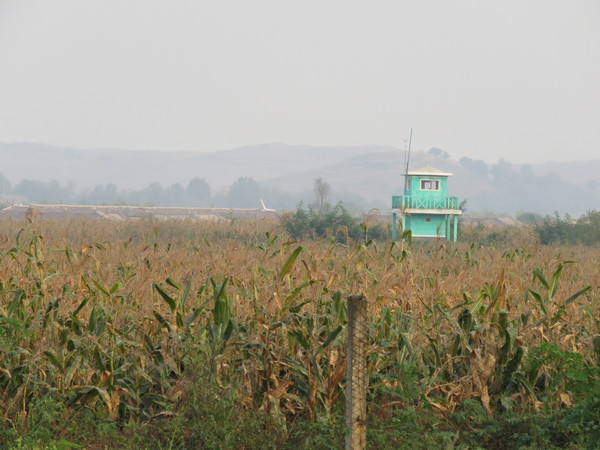 중국 단둥에서 본 평안북도 의주군의 옥수수밭과 국경초소. 사진=시사주간 DB