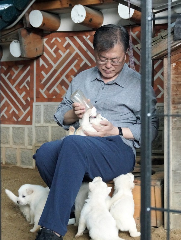 난산으로 태어난 한 마리에게 우유를 먹이고 있는 문대통령. 사진=페이스북