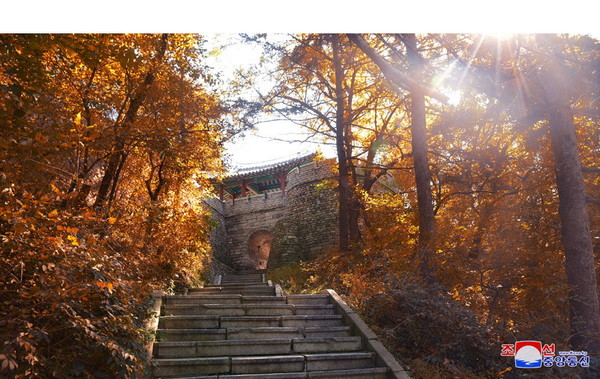 평양 모란봉에 가을 단풍이 한창이다. 사진=중국 블로거
