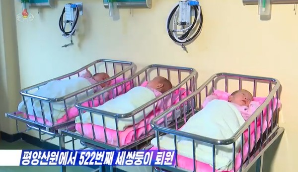 평양산원에서 522번째 태어난 세쌍둥이가 건강하게 퇴원했다. 사진=조선중앙TV