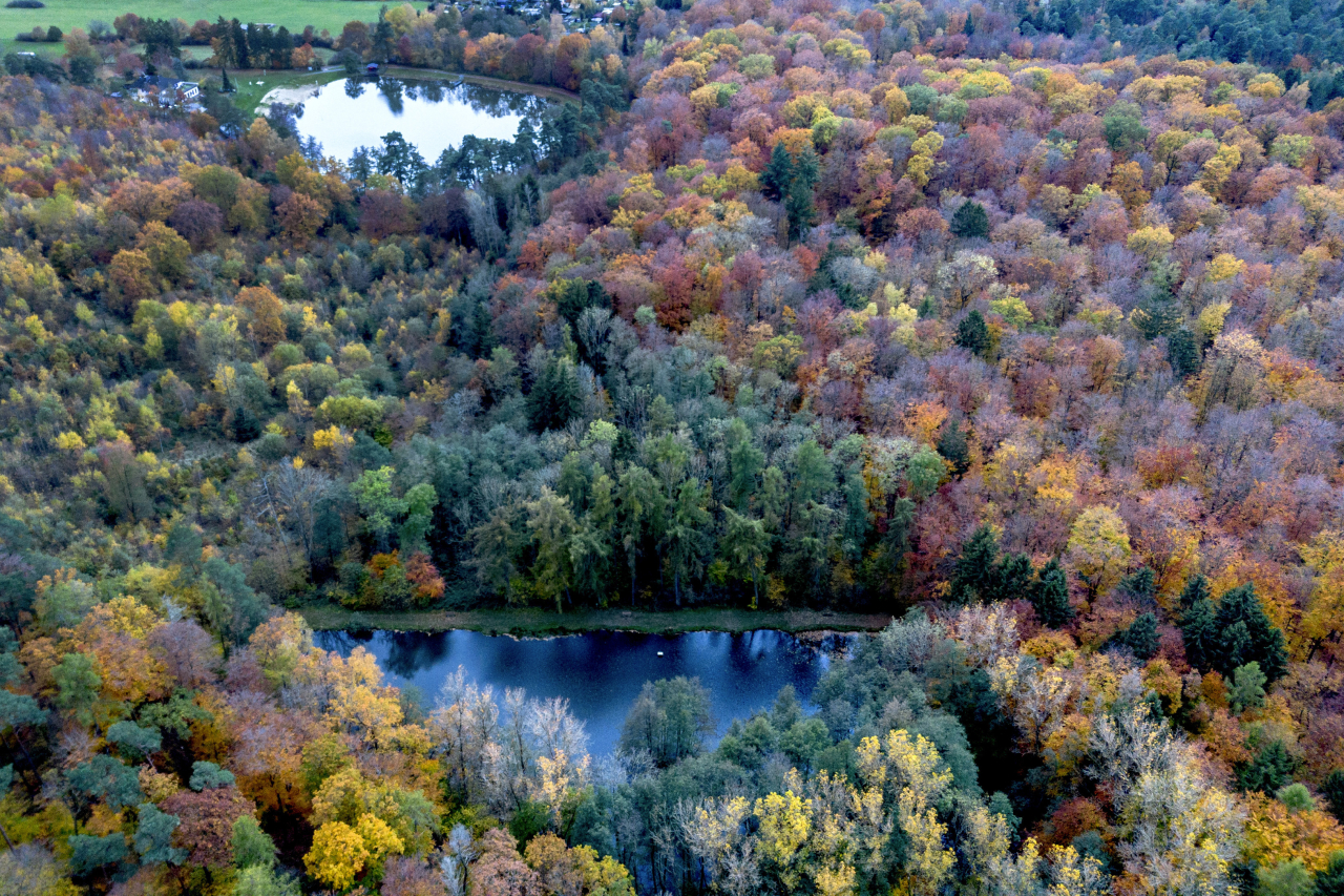 독일 헤센주 우징엔 외곽에 있는 작은 호수 주변 나무들이 알록달록하게 가을 색으로 물들어 있다. 우징엔=AP