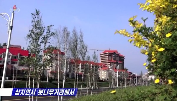 북한 양강도 삼지연시에 조성된 봇나무거리. 사진=dprk-today