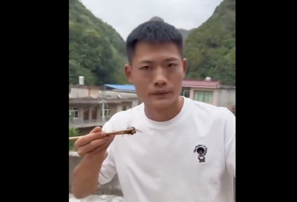 나무젓가락을 이용해 살아 있는 말벌을 들고 있는 청년. 사진=NEW DPRK